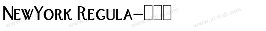 NewYork Regula字体转换